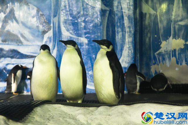 大连10大必玩景点