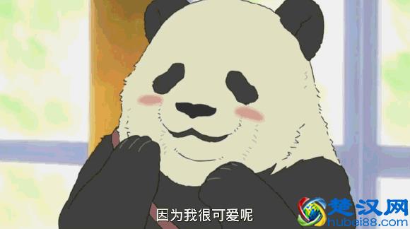 不要用“You are cute”来形容别人可爱，当心她翻脸！