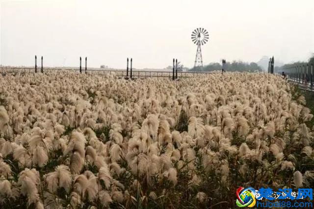 武汉最值得去的12个景点，缺一个就等于白来！
