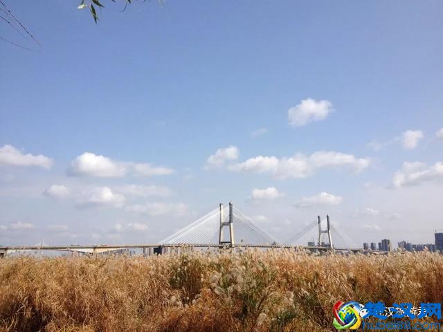 武汉最值得去的12个景点，缺一个就等于白来！