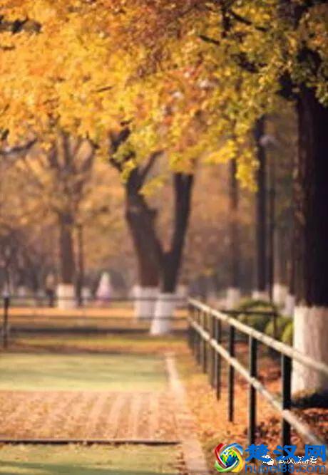 武汉最值得去的12个景点，缺一个就等于白来！