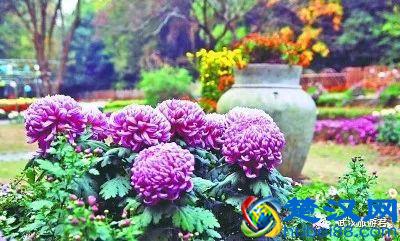 武汉最值得去的12个景点，缺一个就等于白来！