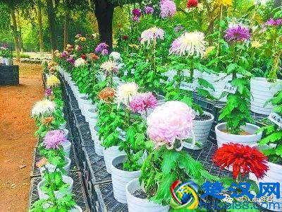 武汉最值得去的12个景点，缺一个就等于白来！