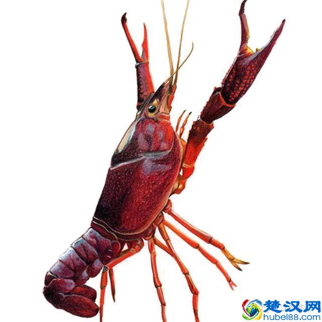 武汉最值得去的12个景点，缺一个就等于白来！