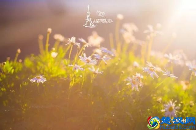 去过10次丽江的人，告诉你丽江这些地方才更值得去！