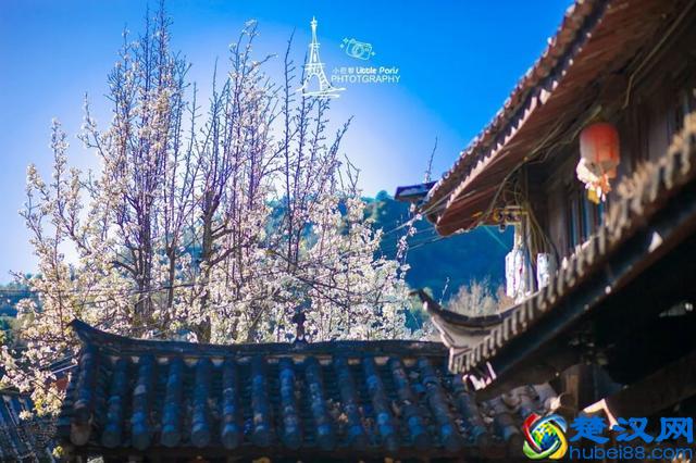 去过10次丽江的人，告诉你丽江这些地方才更值得去！