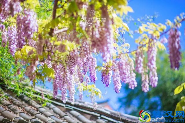 去过10次丽江的人，告诉你丽江这些地方才更值得去！