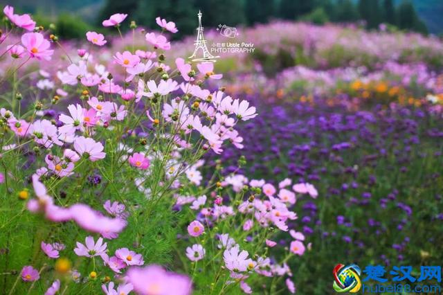 去过10次丽江的人，告诉你丽江这些地方才更值得去！