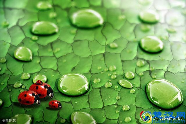 2019年最有前景潜力最大的创业项目分享