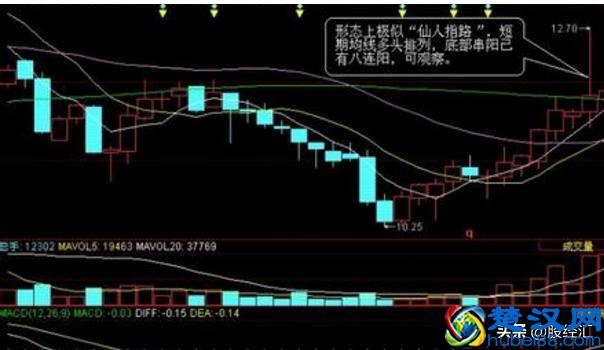 操盘手的日常内功修练：如何提升看盘功力，简单高效还不用花钱