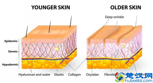 男生如何收缩皮肤毛孔？有哪些有效的护肤品？