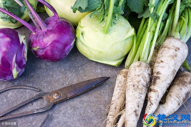 吃什么能补锌？这几种食物榜上有名！有空可常吃