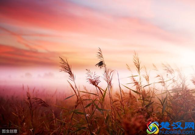 你不知道的创业小白必看营销小妙招