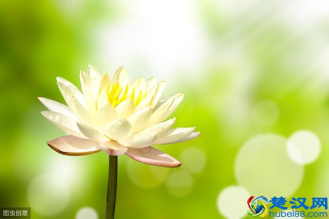 你不知道的创业小白必看营销小妙招