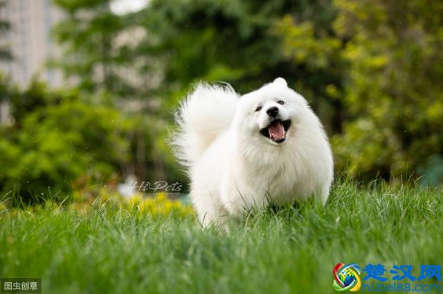 你不知道的创业小白必看营销小妙招