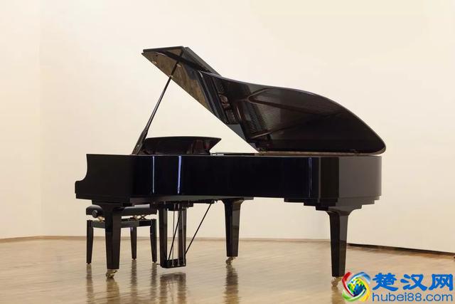 十种常见乐器的优劣分析，哪种最适合你的孩子学？