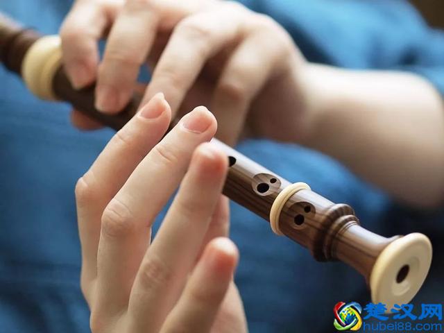 十种常见乐器的优劣分析，哪种最适合你的孩子学？