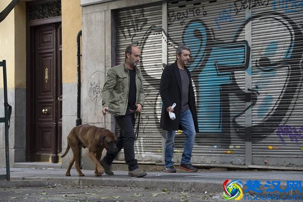 近期最好看的口碑电影，片荒的就赶紧马起来！