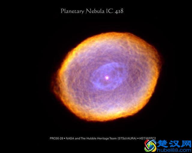 太阳的前世是一颗超新星，太阳的后世是什么星？