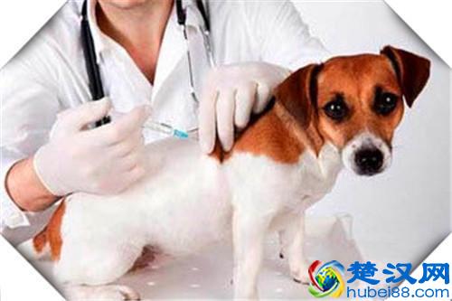 2020年快要到来，有哪些小创业项目具备广阔前景？推荐几个