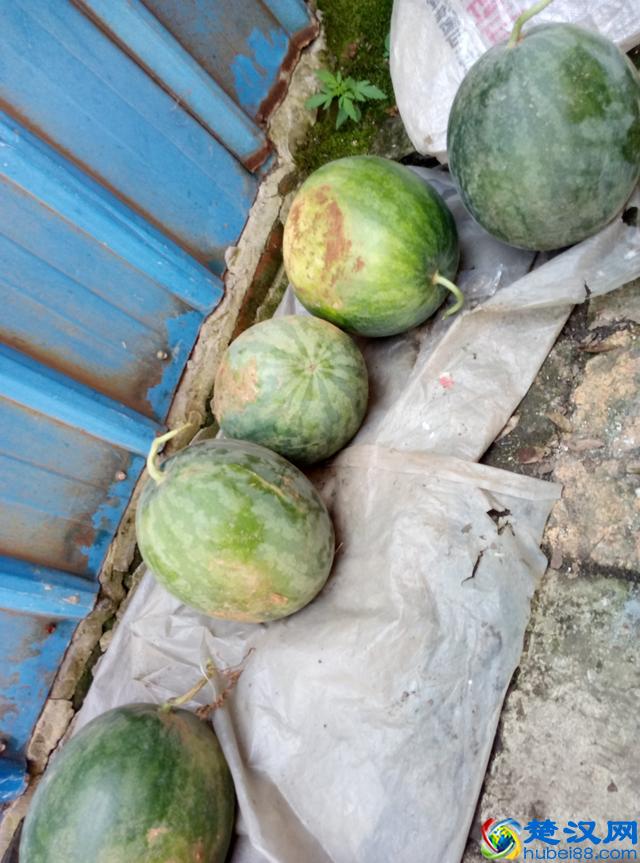 今年给长辈送中秋礼品，你还是送月饼？送这个东西更珍贵