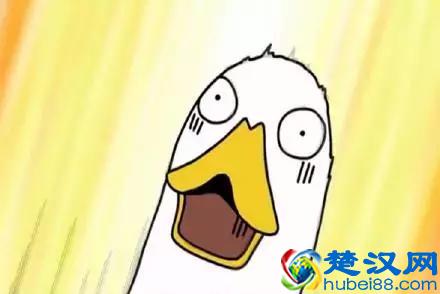 关于司法部法考通过率数据统计分析，2019年法考严格还是放水？