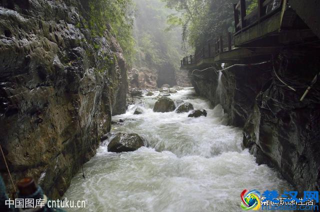 眼球凸出，和长期戴眼镜有关吗？原来我们一直错怪眼镜了