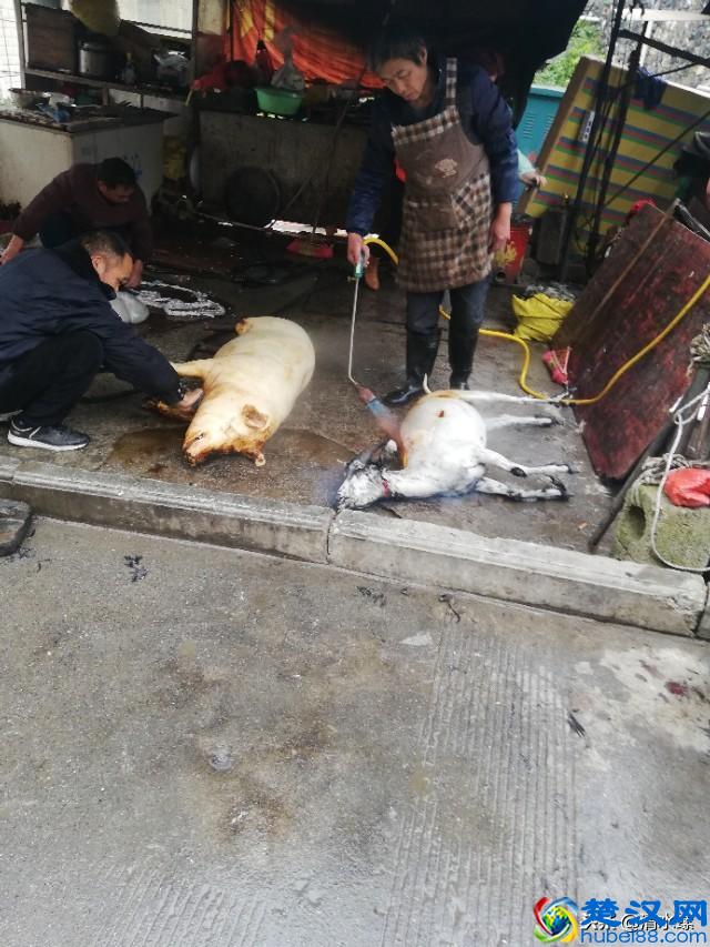 一年净赚20万的工作，一般人还赚不到这个钱，你能做到吗？