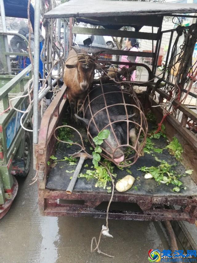 一年净赚20万的工作，一般人还赚不到这个钱，你能做到吗？