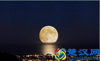 IELTS丨雅思分类有几种你真的了解吗