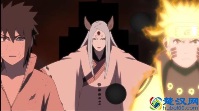 家养小乌龟怎么过冬