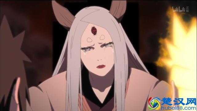 家养小乌龟怎么过冬