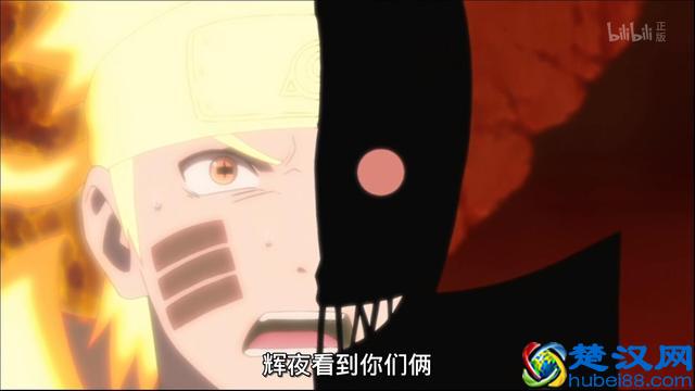 家养小乌龟怎么过冬