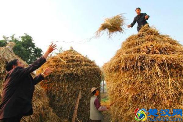 如何评价福州这个城市？