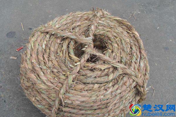 周瑜到底是怎么死的？真相令人不寒而栗，黑暗的斗争无处不在