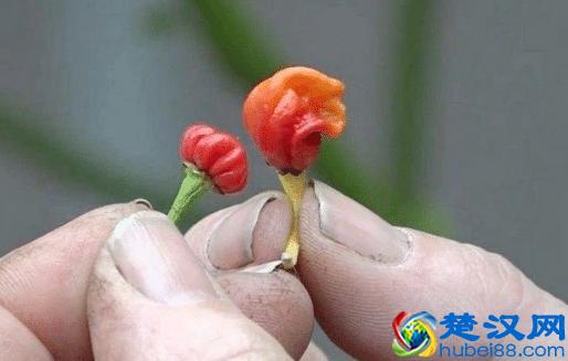 JSP部署在Tomcat上运行