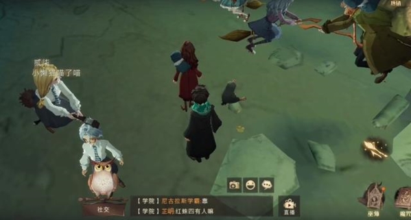 《哈利波特魔法觉醒》处置危险生物委员会总是盯着这位教授