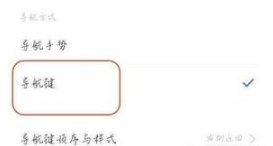 1641799507891103.png oppoa96在什么地方设置返回键