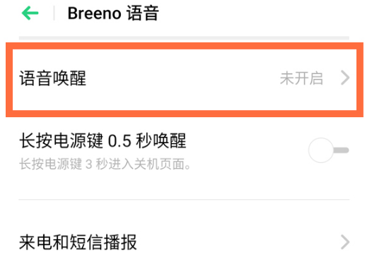 oppo手机小布在什么地方开启
