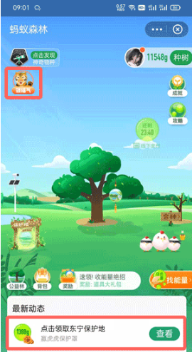 1642058749330254.png 支付宝东宁保护地如何领