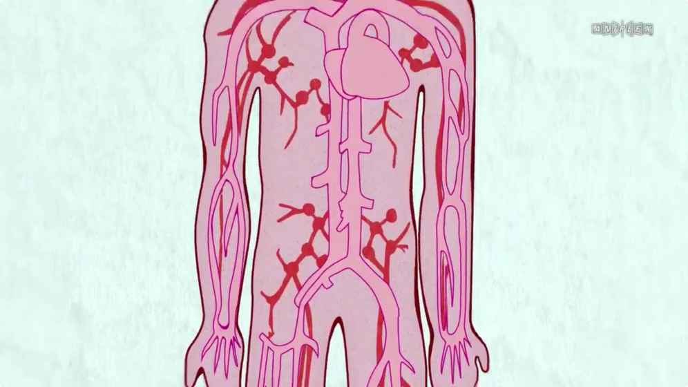 永远的工作细胞