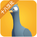 鸽子袭击中文版