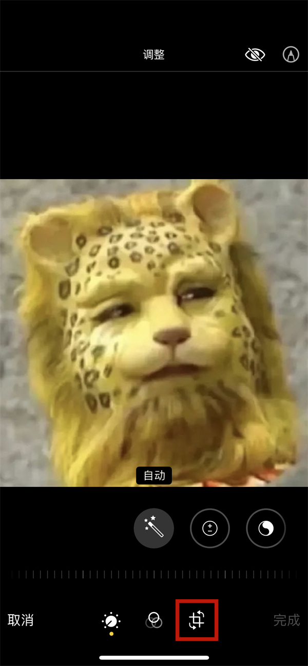 苹果如何把相片合成一张