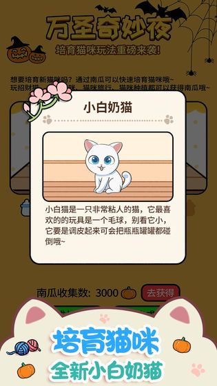 猫咪公寓
