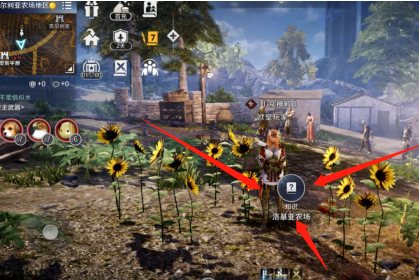 黑色沙漠手游洛基亚农场知识获取位置攻略2