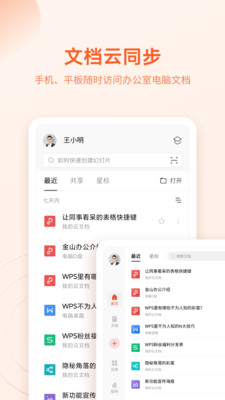WPSOffice专业版