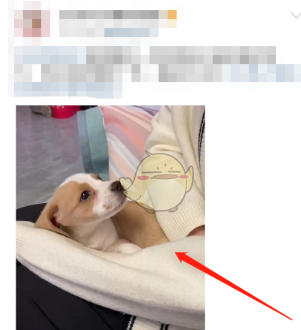 1652860777169310.png image.png