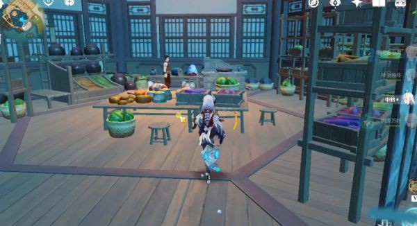 原神游戏截图17