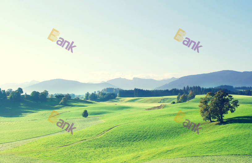 如何在图片上加水印防止盗图?