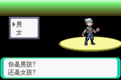 口袋妖怪绿宝石最新版